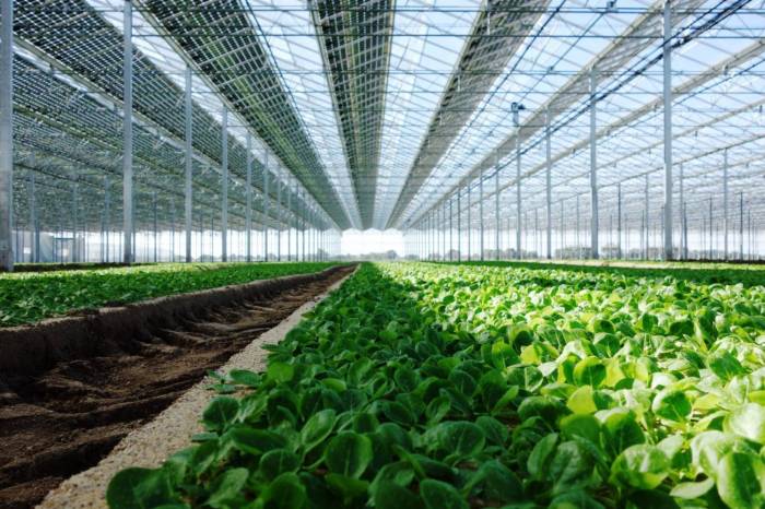 découvrez les avantages du photovoltaïque agricole pour optimiser la production d'énergie sur vos exploitations. apprenez comment l'énergie solaire peut réduire vos coûts et contribuer à une agriculture durable.