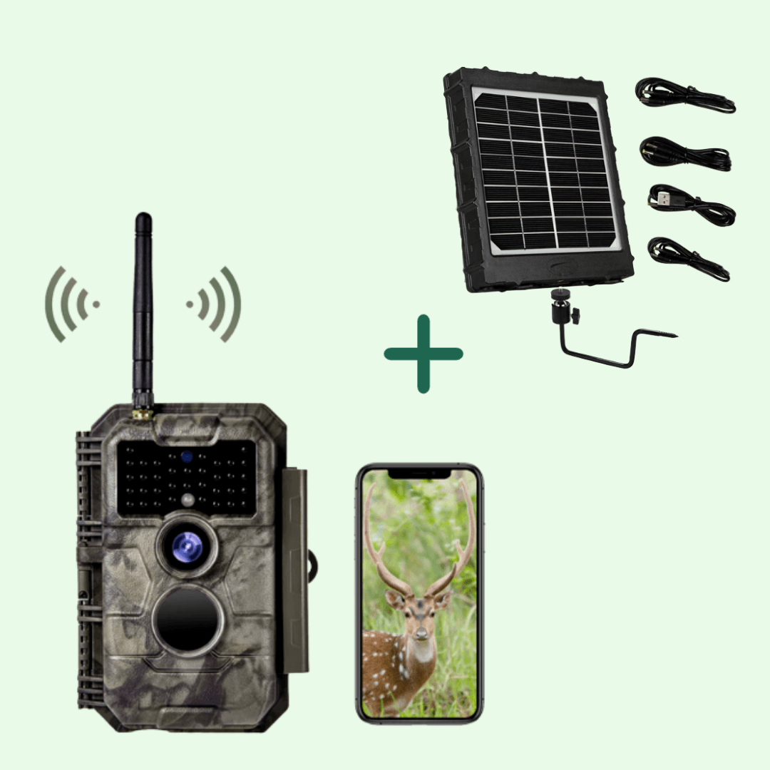 découvrez tout ce que vous devez savoir sur les pièges pv : types, fonctionnement et conseils pour une utilisation optimale. informez-vous sur leur efficacité et comment les intégrer dans votre stratégie de capture d'énergie solaire.