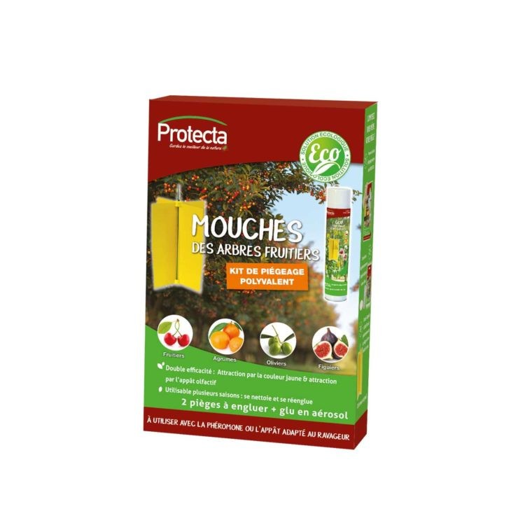 découvrez tout sur les pièges pv : comment les utiliser efficacement, leurs avantages et des conseils pour optimiser vos performances. maximisez votre succès avec nos astuces et recommandations sur les pièges photovoltaïques.