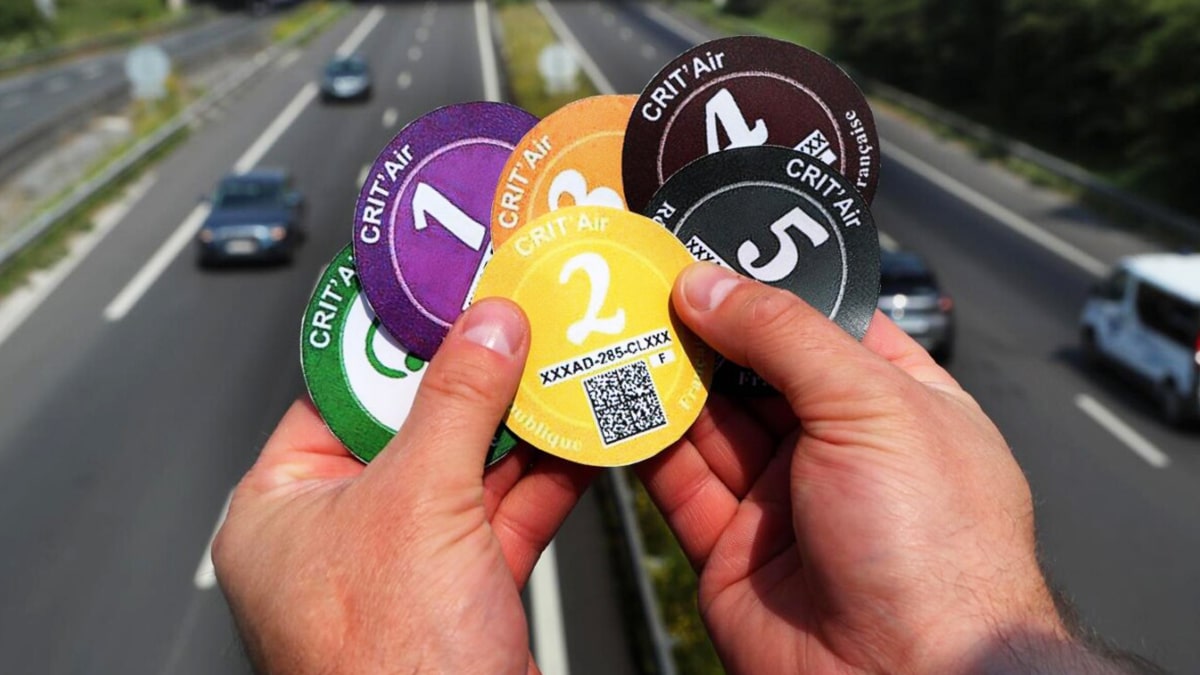 découvrez tout ce qu'il faut savoir sur les pièges pv : astuces, techniques et conseils pour optimiser votre expérience. ne laissez rien au hasard, apprenez à mieux les utiliser pour des résultats efficaces !