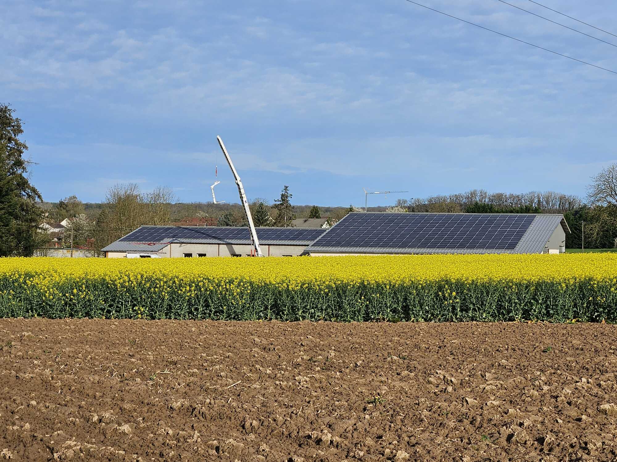 découvrez les dernières informations et actualités concernant la haute-saône, un département riche en culture et en nature. explorez les activités, événements et lieux incontournables à visiter dans cette région de france.