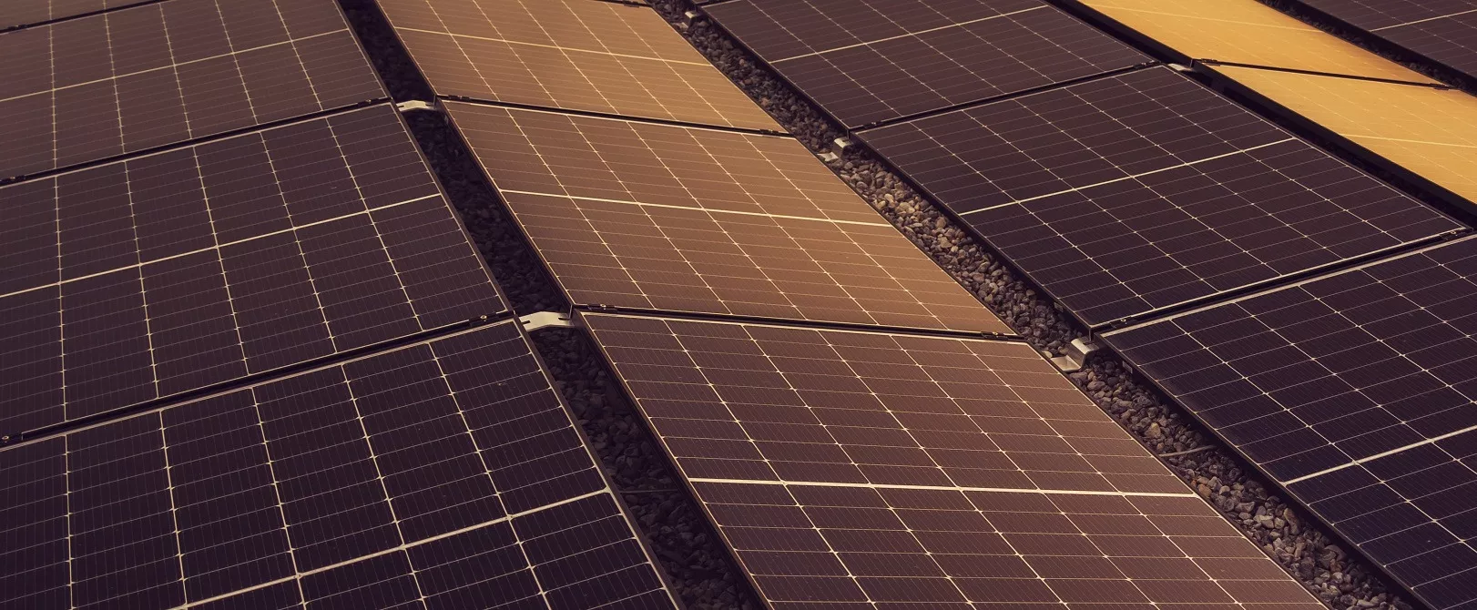 découvrez les opportunités de rachat photovoltaïque en 2025 et comment maximiser vos profits grâce à l'énergie solaire. informez-vous sur les meilleures offres et les conditions du marché pour investir de manière rentable dans le photovoltaïque.