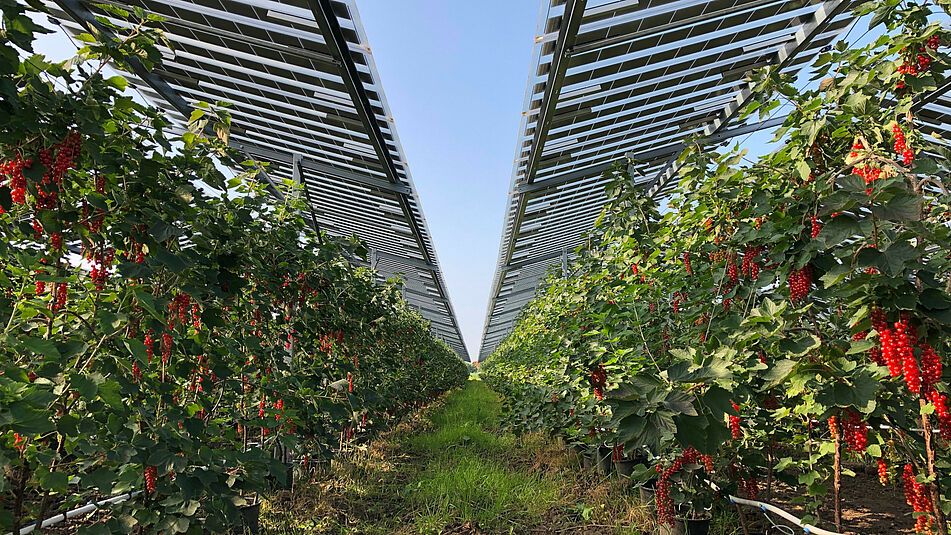 découvrez les dernières innovations en matière d'énergie solaire au salon photovoltaïque 2025. rejoignez-nous pour explorer les nouvelles technologies, rencontrer des experts de l'industrie et participer à des conférences inspirantes sur l'avenir de l'énergie renouvelable.