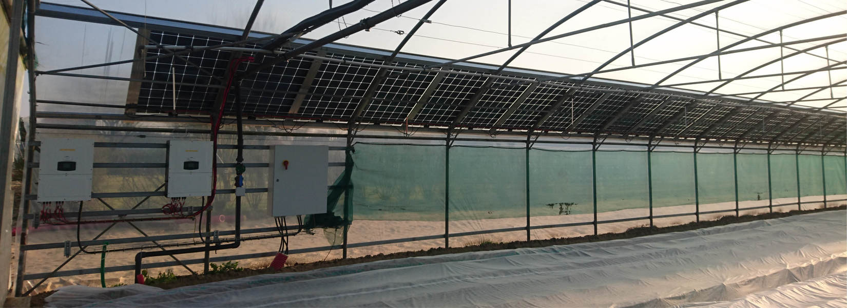 découvrez comment bénéficier d'une serre photovoltaïque gratuite pour cultiver vos plantes tout en produisant de l'énergie verte. optimisez votre espace tout en contribuant à la transition énergétique.