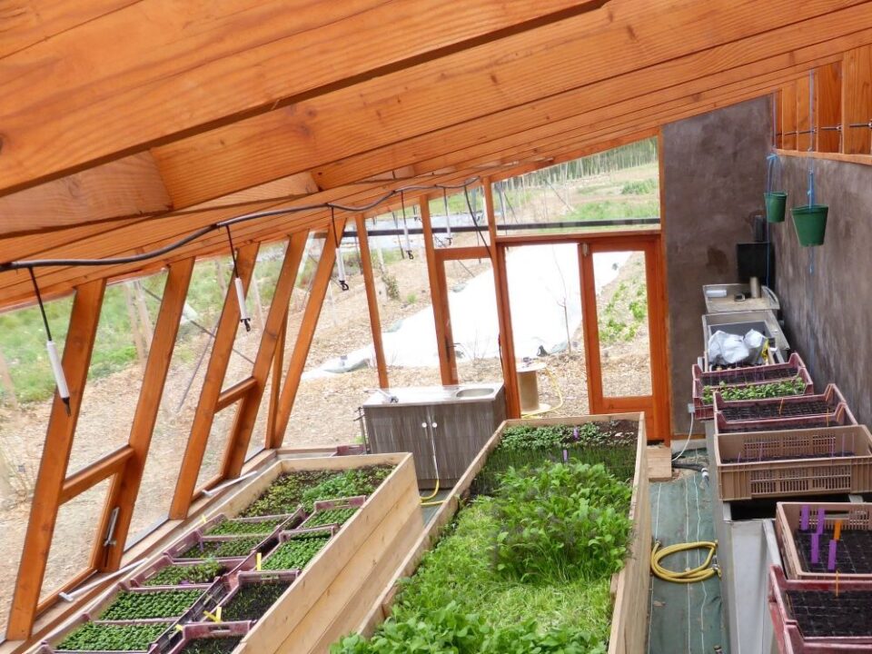 découvrez comment bénéficier d'une serre photovoltaïque gratuite pour cultiver vos plantes tout en produisant de l'énergie renouvelable. profitez d'une solution écologique et économique pour allier agriculture durable et innovation technologique.