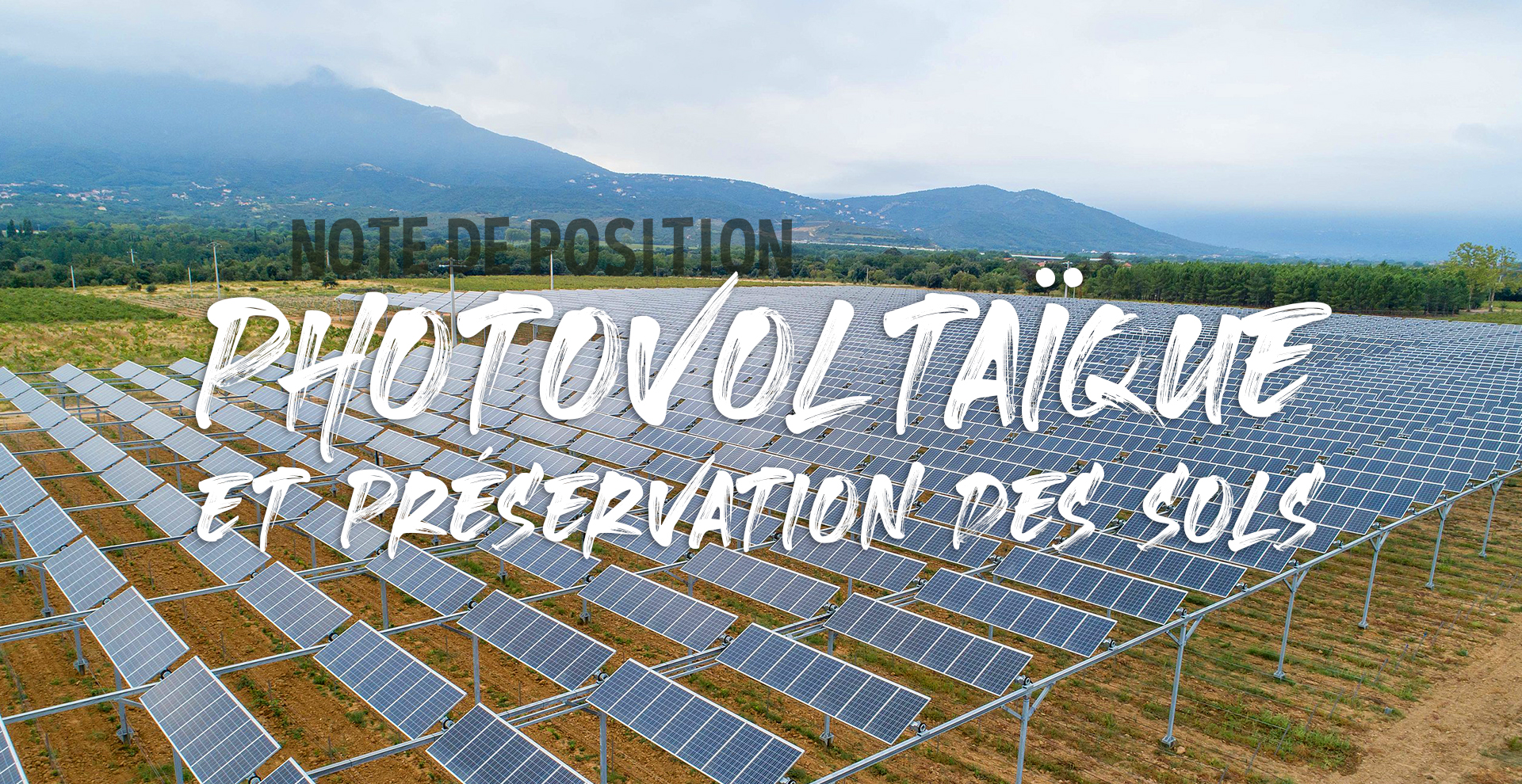 découvrez notre offre de terrain agricole à vendre, idéal pour vos projets agricoles. profitez d'un emplacement stratégique et des conditions optimales pour cultiver vos idées et vos récoltes. contactez-nous pour plus d'informations sur ce terrain agricole pv.