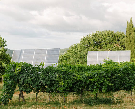 découvrez les bienfaits d'un terrain photovoltaïque : une solution durable pour produire de l'énergie renouvelable, réduire votre empreinte carbone et valoriser votre patrimoine. explorez les opportunités d'investissement et les incitations gouvernementales qui rendent l'énergie solaire accessible à tous.