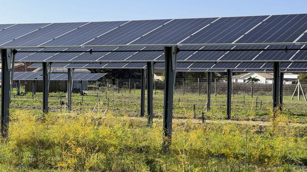 découvrez les avantages des terrains photovoltaïques pour la production d'énergie renouvelable. transformez vos espaces en sources d'énergie durable grâce à des solutions adaptées et respectueuses de l'environnement.