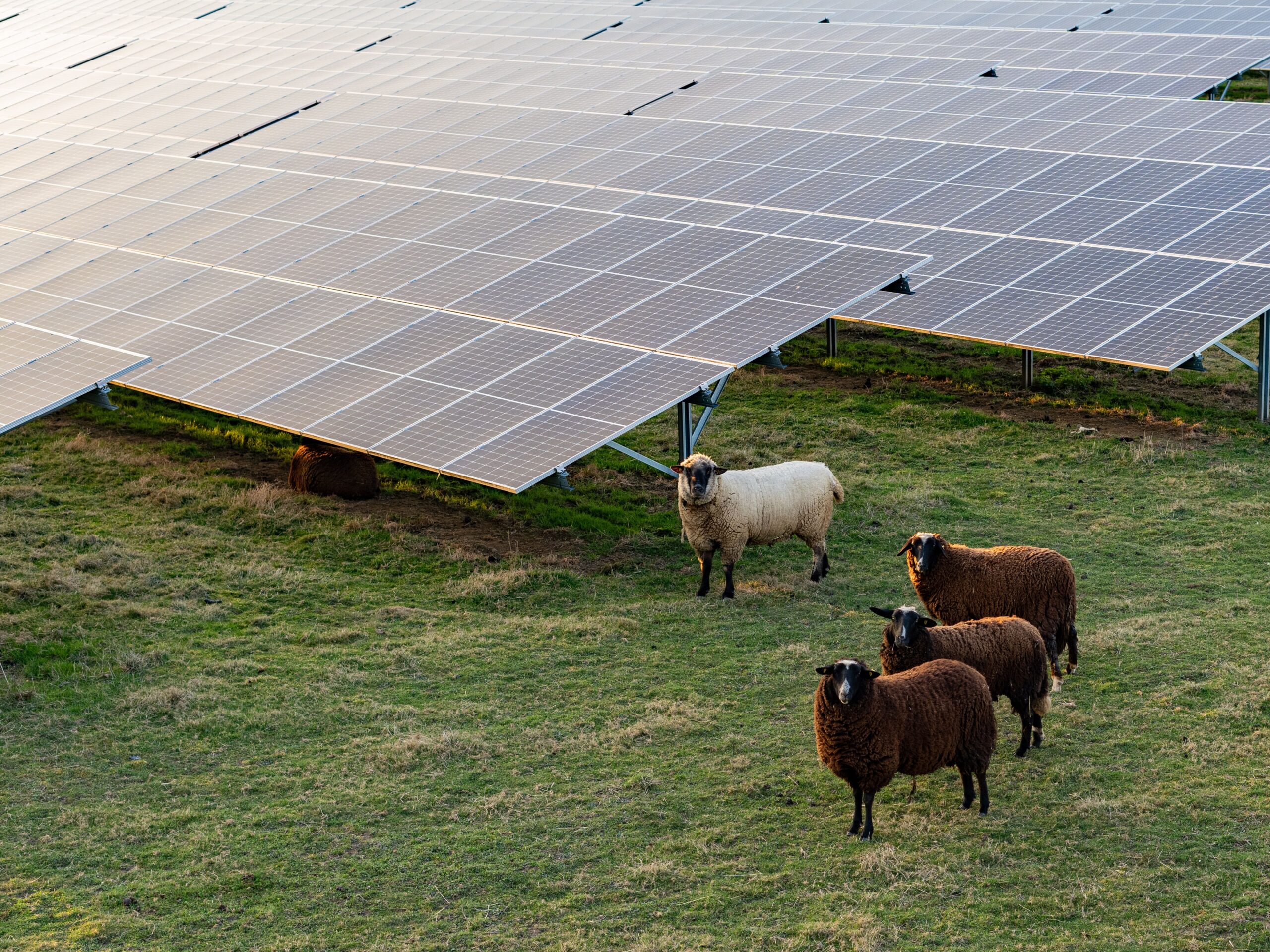 découvrez comment l'adoption de l'énergie solaire permet aux entreprises de réduire leurs coûts, d'améliorer leur image écoresponsable et de contribuer à la transition énergétique. bénéficiez de conseils pour réussir votre projet solaire en entreprise.