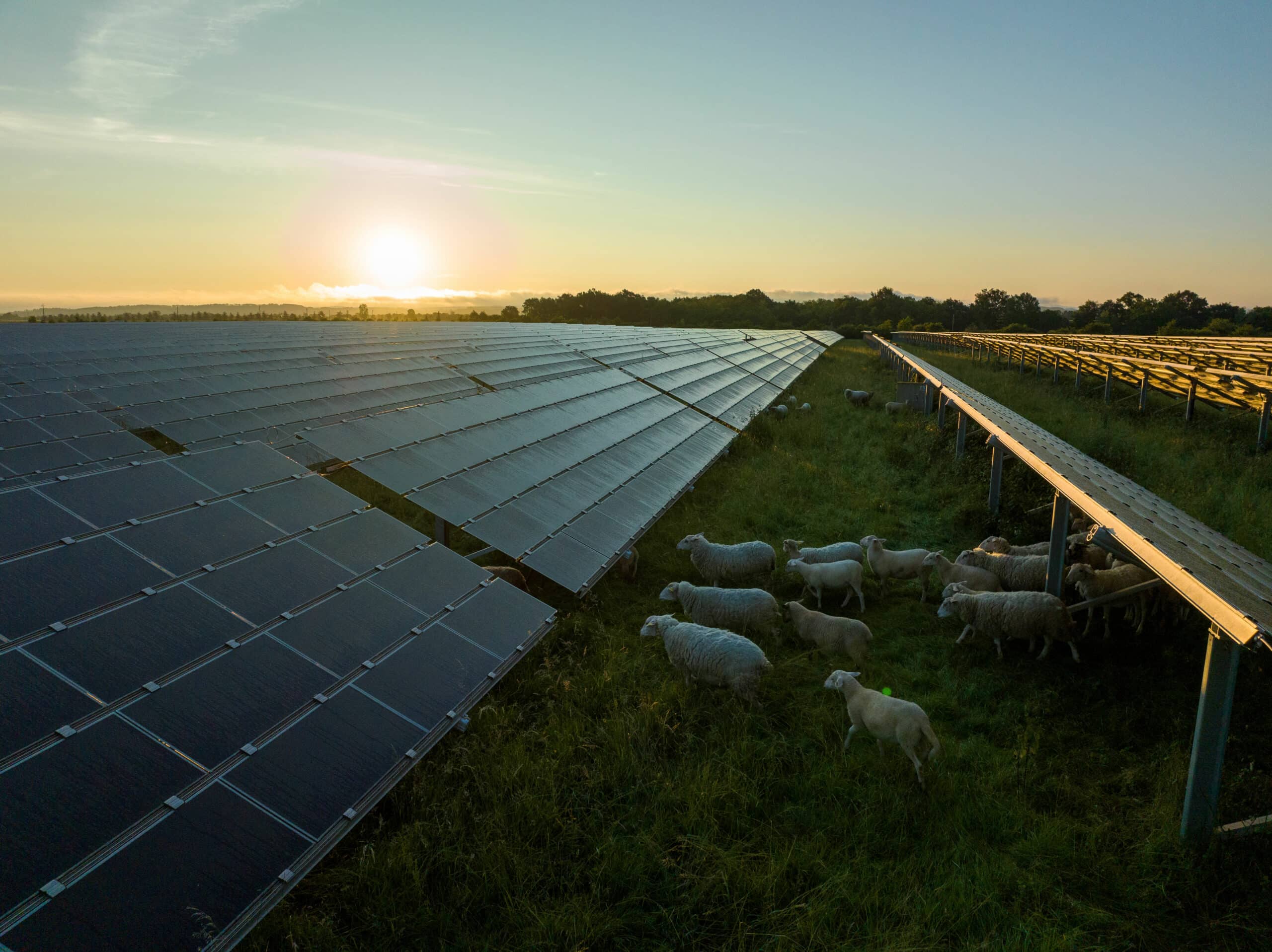 découvrez comment kier a récemment acquis un installateur solaire, renforçant ainsi sa position dans le secteur des énergies renouvelables et soutenant la transition vers un avenir plus durable.