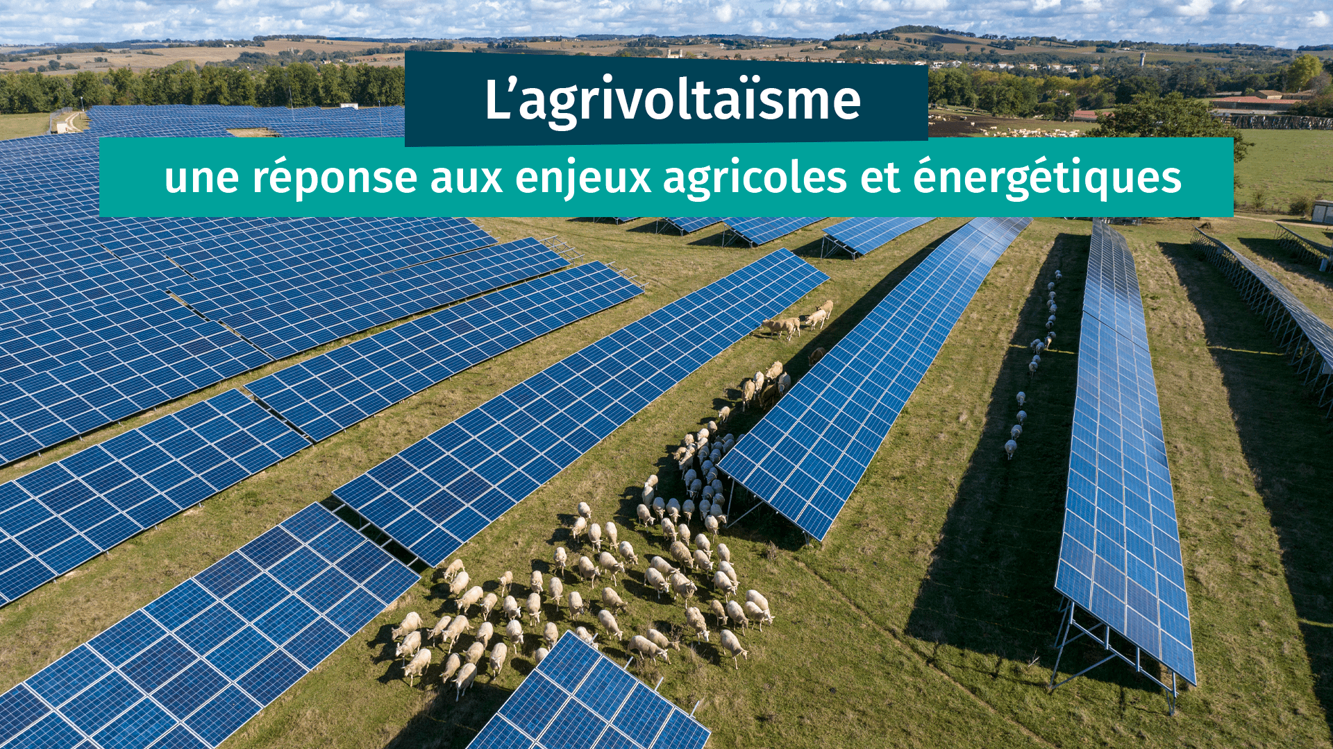 découvrez les enjeux des panneaux photovoltaïques : impact environnemental, rentabilité, innovations technologiques et rôle dans la transition énergétique.