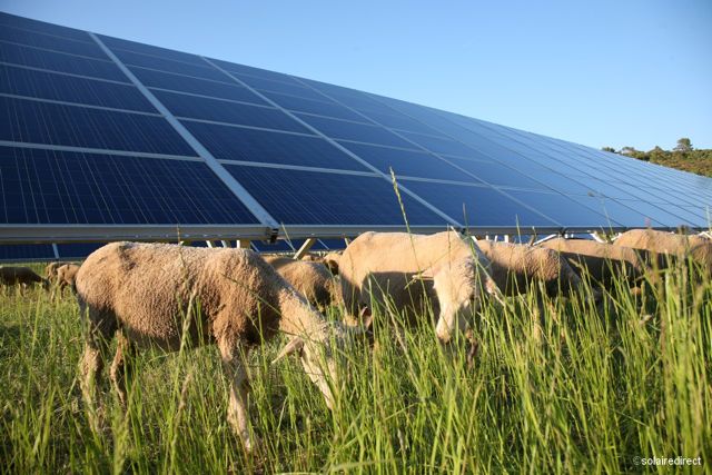 découvrez comment la concurrence dynamise le secteur du photovoltaïque, stimule l’innovation et améliore l’accès à l’énergie solaire pour les particuliers et les entreprises.